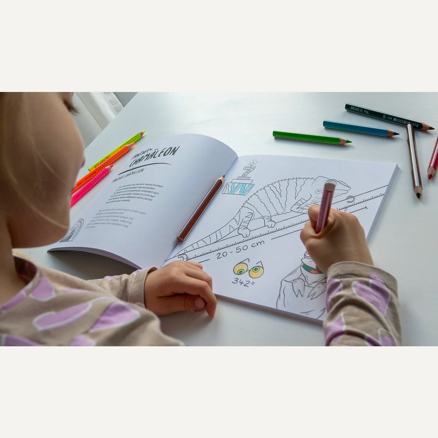 Zoo-Malbuch "Tierpark Hellabrunn"