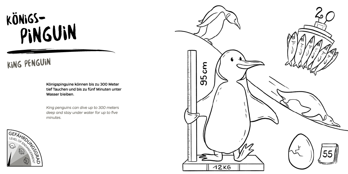 Bundle: Mal- und Rätselbuch "Zoo-Tiere" + Zoo-Malbuch "Tierpark Hellabrunn"