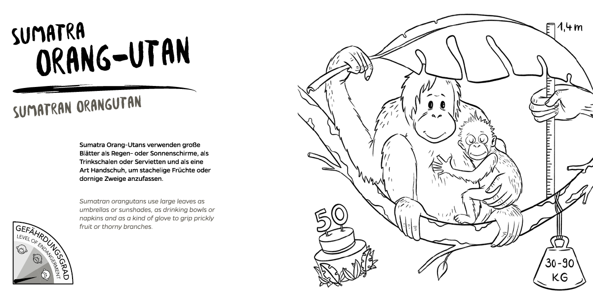 Zoo-Malbuch "Tierpark Hellabrunn"