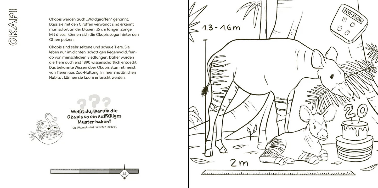 Mal- und Rätselbuch "Zoo-Tiere"