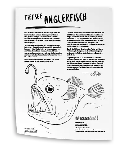 anatal Verlag - Download Malvorlage Tiefsee-Anglerfisch