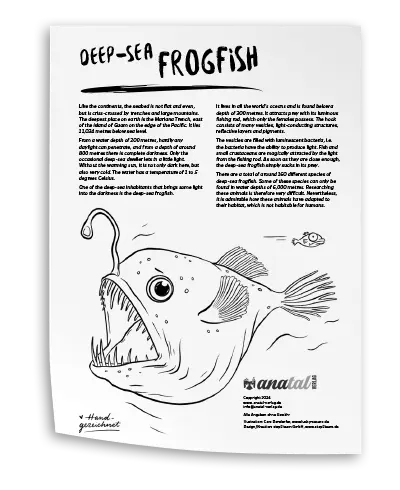 anatal Verlag - Download Coloring Page Deep-Sea Frogfish