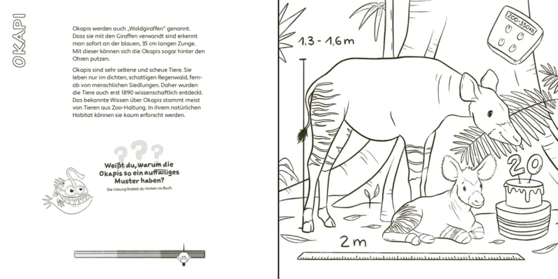 Mal- und Rätselbuch "Zoo-Tiere" – Bild 4